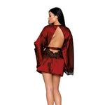 Load image into Gallery viewer, Dreamgirl Open Back Satin Robe Lingerie - Nastassy
