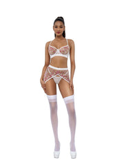 Load image into Gallery viewer, Dreamgirl Dallas 3-Piece Garterbelt Set