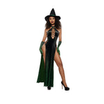 Load image into Gallery viewer, Dreamgirl Emerald Echantress Costume - Nastassy
