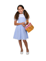 Load image into Gallery viewer, Dreamkids Kansas Cutie Starter Dress