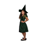 Load image into Gallery viewer, Dreamkids Little Wicked Witch Costume - Nastassy
